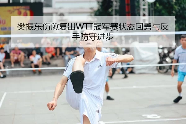 樊振东伤愈复出WTT冠军赛状态回勇与反手防守进步